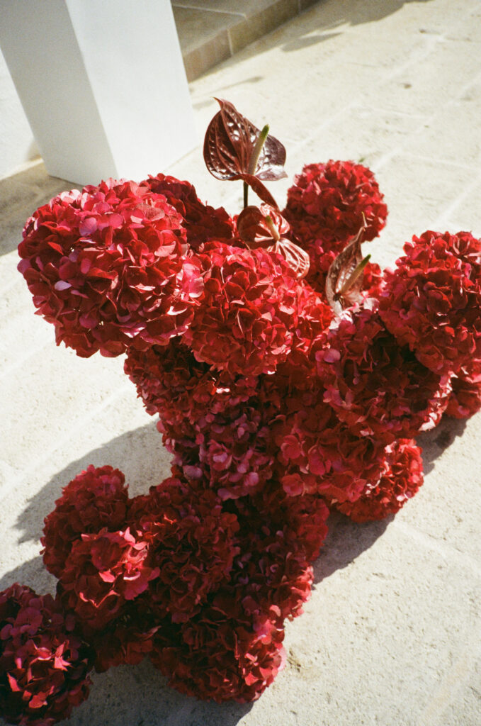 analoge Hochzeitsfotografie Puglia Hochzeit 35mmfilmfotografie 19 679x1024 1