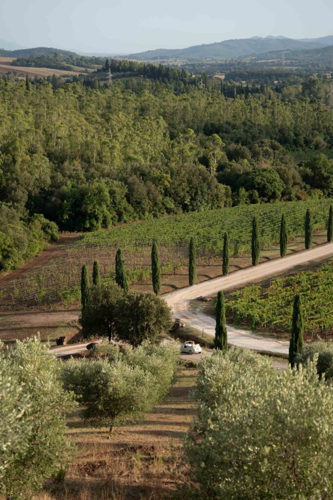 conti di san bonifacio wine resort luxury wedding tuscany 39 1 scaled 1